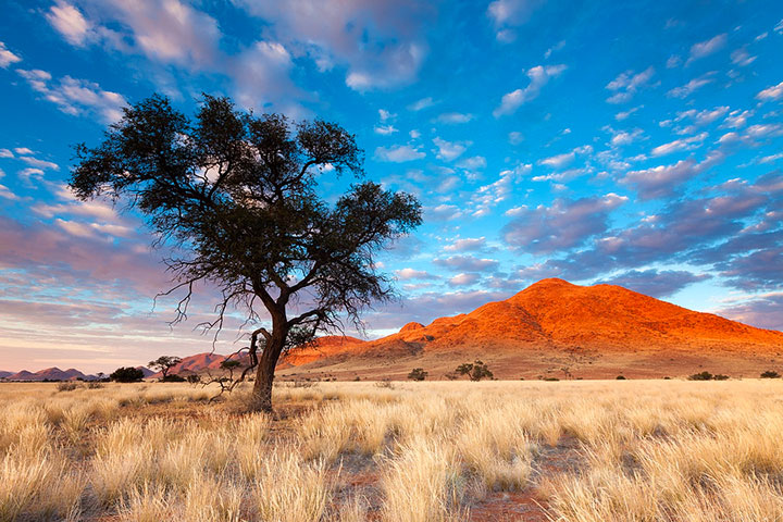 admirez-le-magnifique-desert-de-namibie-grace-a-ces-fantastiques-photographies33