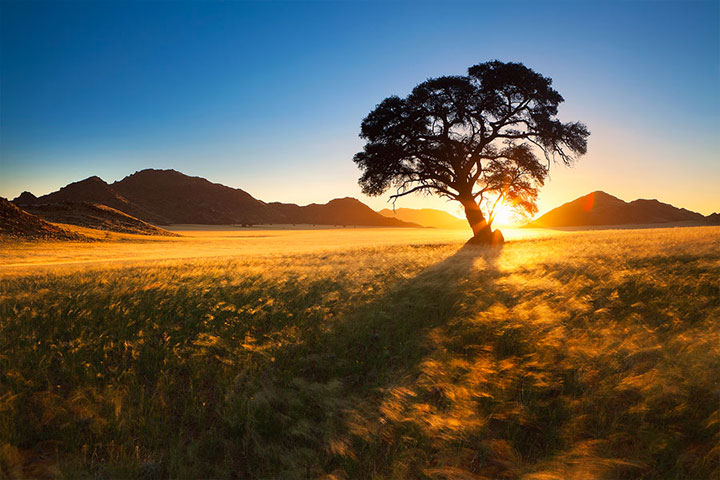 admirez-le-magnifique-desert-de-namibie-grace-a-ces-fantastiques-photographies40