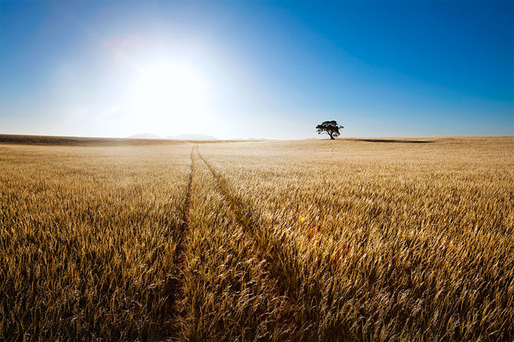 admirez-le-magnifique-desert-de-namibie-grace-a-ces-fantastiques-photographies6