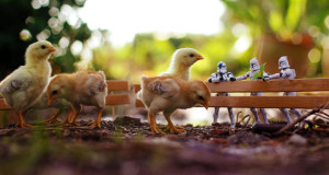 ces-stormtroopers-miniatures-partent-a-laventure-dans-notre-monde-a-travers-des-cliches-tres-fun-une