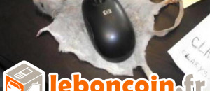 leboncoin-annonces-humour-une