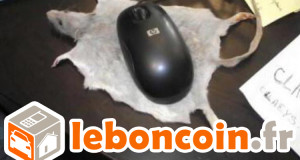 leboncoin-annonces-humour-une