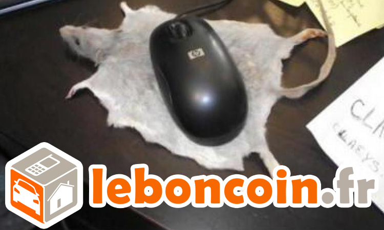 leboncoin-annonces-humour-une