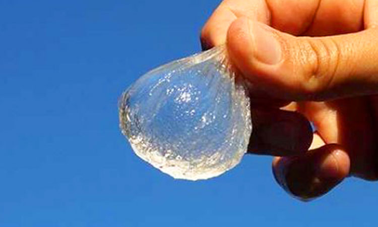 oubliez-les-bouteilles-en-plastique-vous-pouvez-desormais-boire-de-leau-dans-une-bulle-une