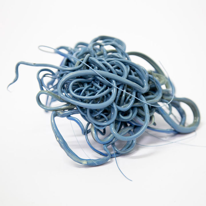 recyclage-maison-environnement-bouteille15