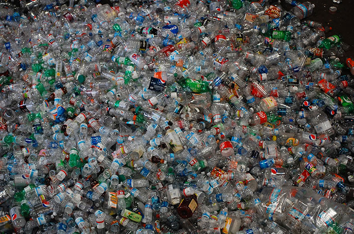 un-champignon-revolutionnaire-a-ete-decouvert-il2