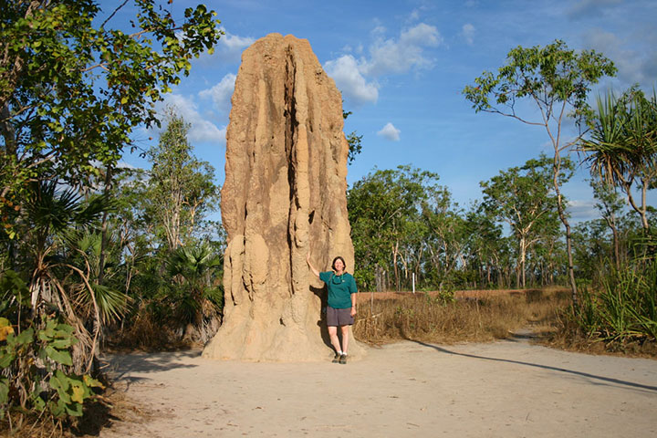 animal-construction-habitat1-1