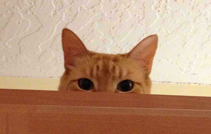 creativite-imagination-conseils9