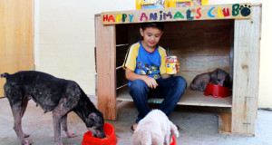 enfant-refuge-animaux-histoire-une