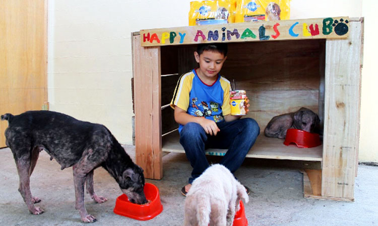 enfant-refuge-animaux-histoire-une