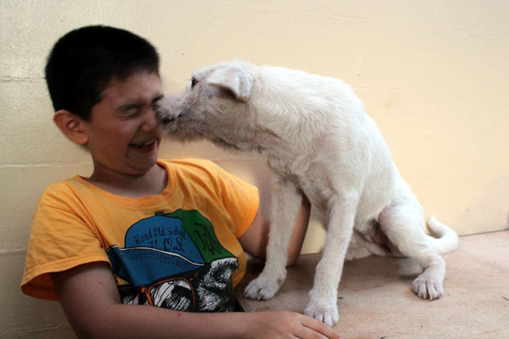 enfant-refuge-animaux-histoire11