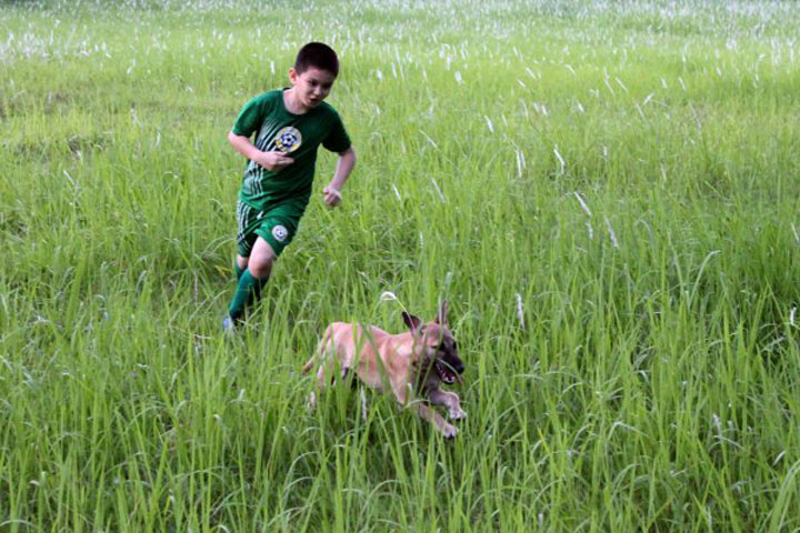 enfant-refuge-animaux-histoire17