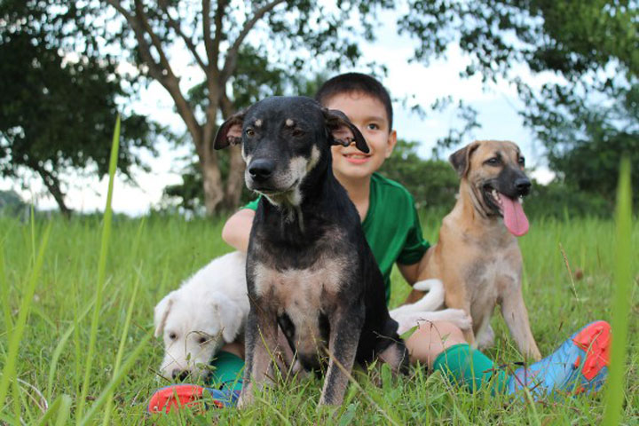 enfant-refuge-animaux-histoire18