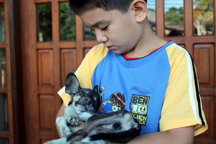 enfant-refuge-animaux-histoire21