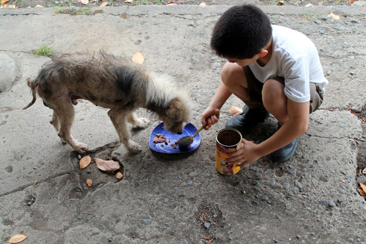 enfant-refuge-animaux-histoire7