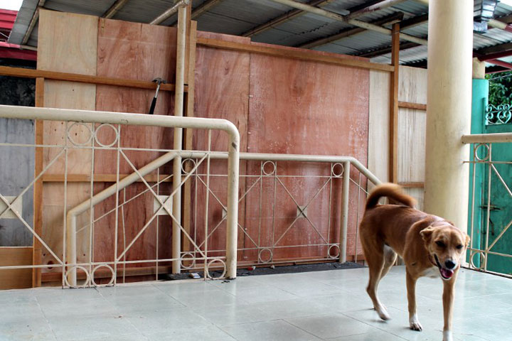 enfant-refuge-animaux-histoire9