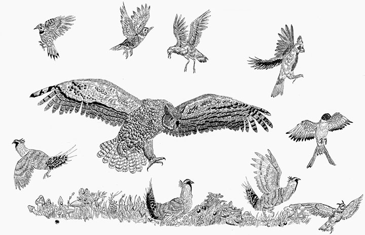 garcon-dessin-prodige10