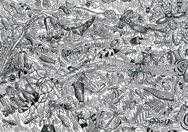 garcon-dessin-prodige2