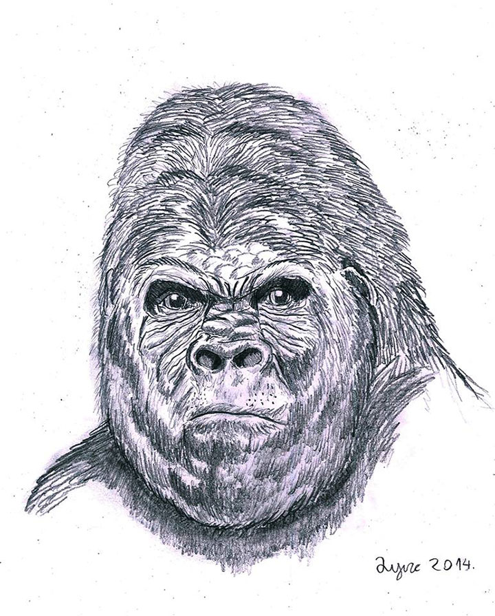 garcon-dessin-prodige7