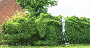 haie-dragon-plante-sculpture-une