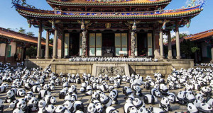 hong-kong-panda-wwf-animal-une