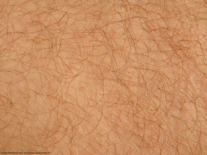 peau-humaine-fabrication-sperme4