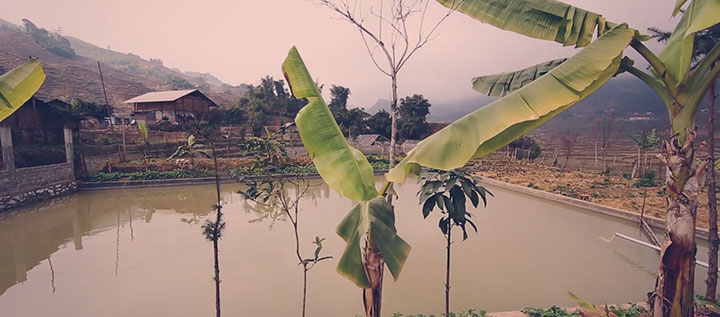 voyage-vietnam-video15