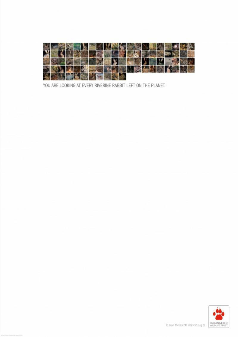 affiche-publicitaire