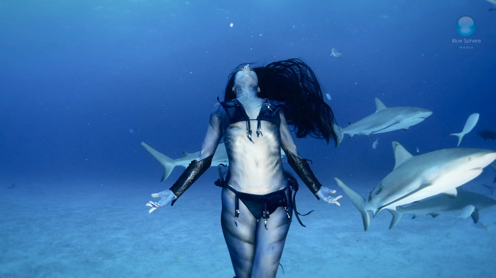 artiste-danse-avec-requins-tigres