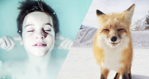 concours-photographie-iphone-incroyable