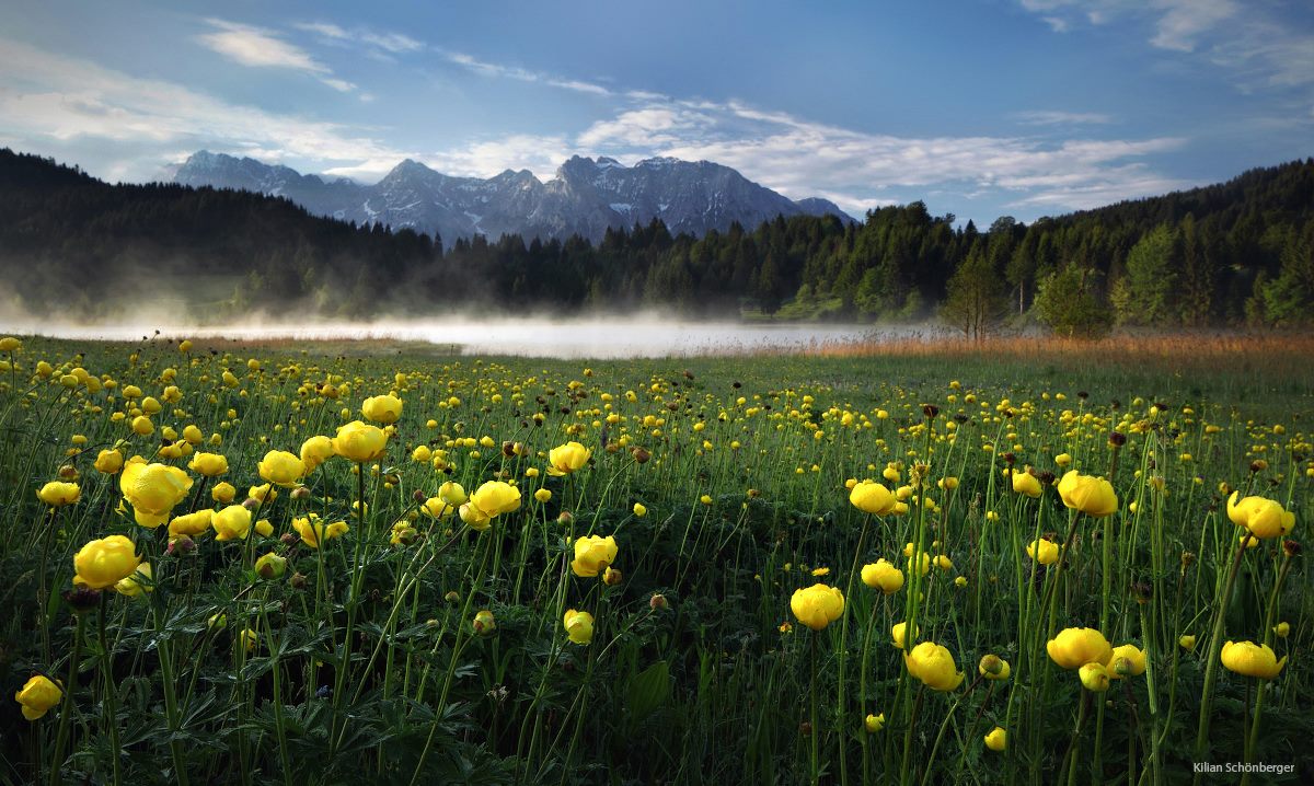 conte-frere-grimm-photo10