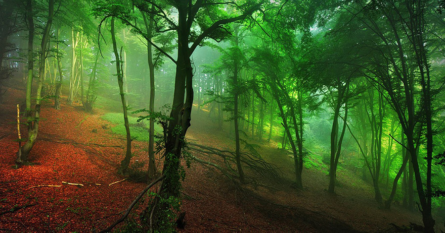 conte-frere-grimm-photo19