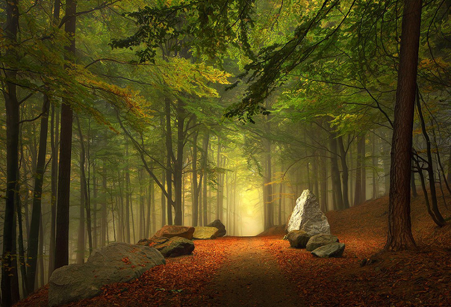 conte-frere-grimm-photo20