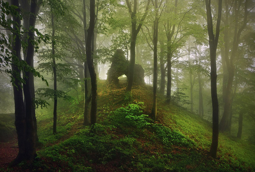 conte-frere-grimm-photo6