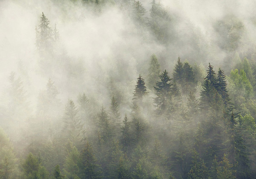 conte-frere-grimm-photo7