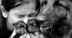 enfant-chien-photographie-amour-pologne