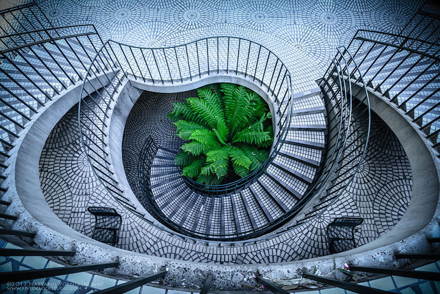escalier-bleu-plante