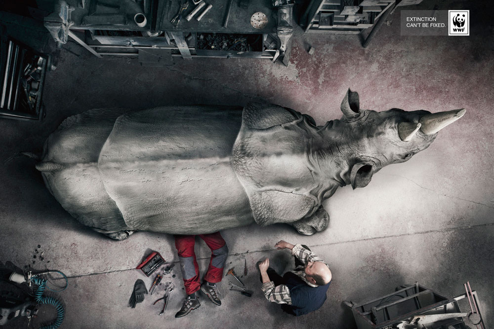 extinction-rhinoceros
