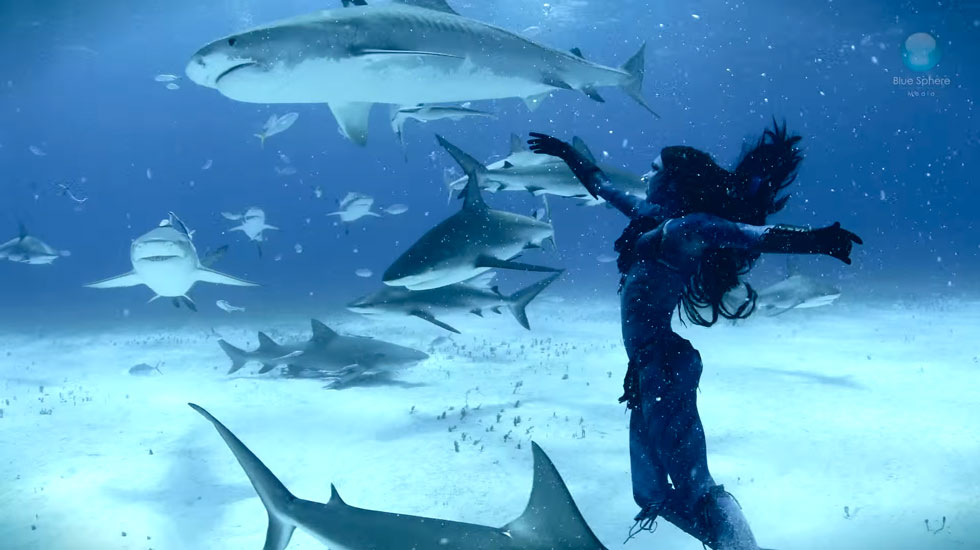 femme-au-milieu-des-requins