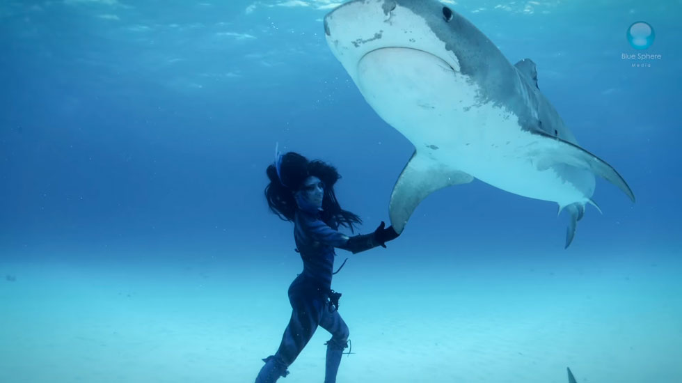 femme-dessous-requin-tigre