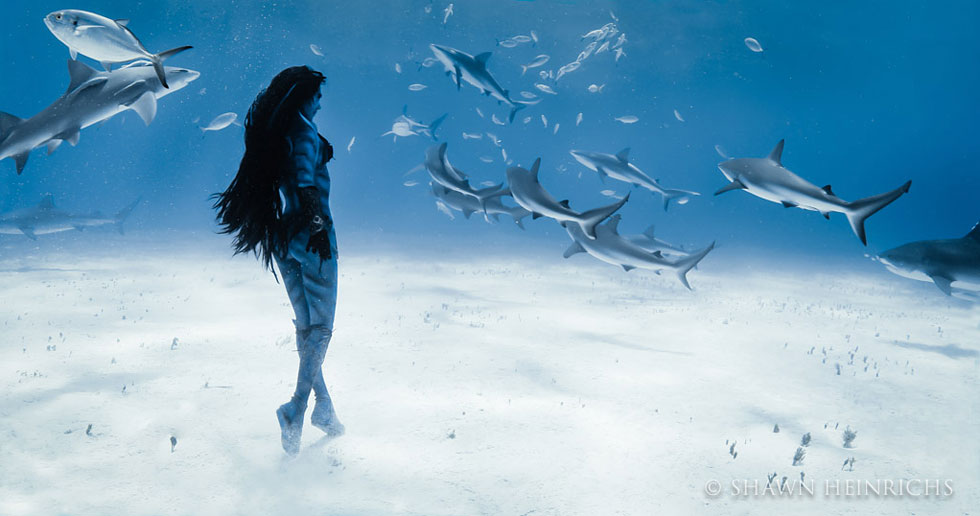 femme-encerclee-par-requins-tigres