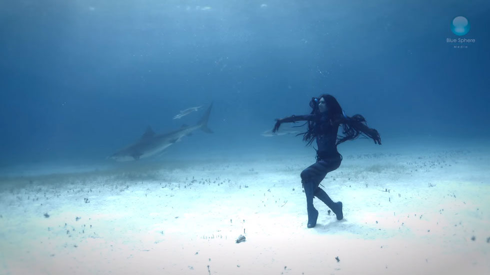 fond-marin-femme-requin