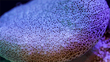 gif-nature-decouverte-hypnotique-paysage10