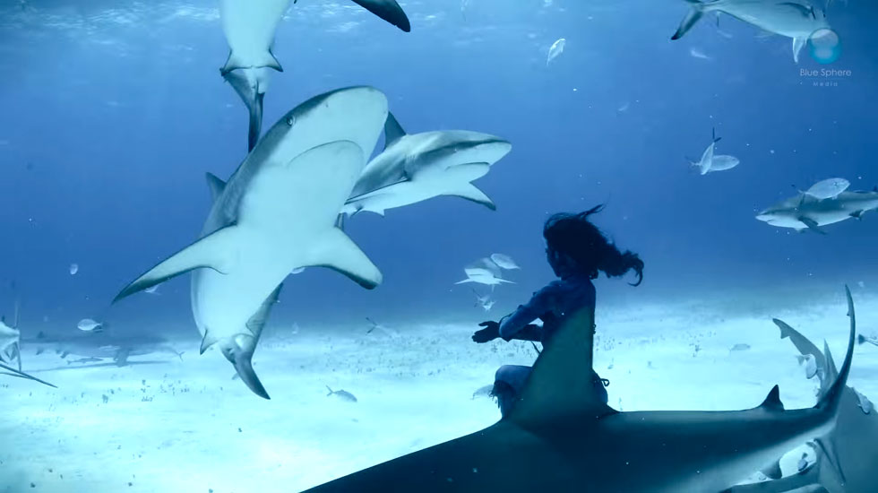 hannah-fraser-choeregraphie