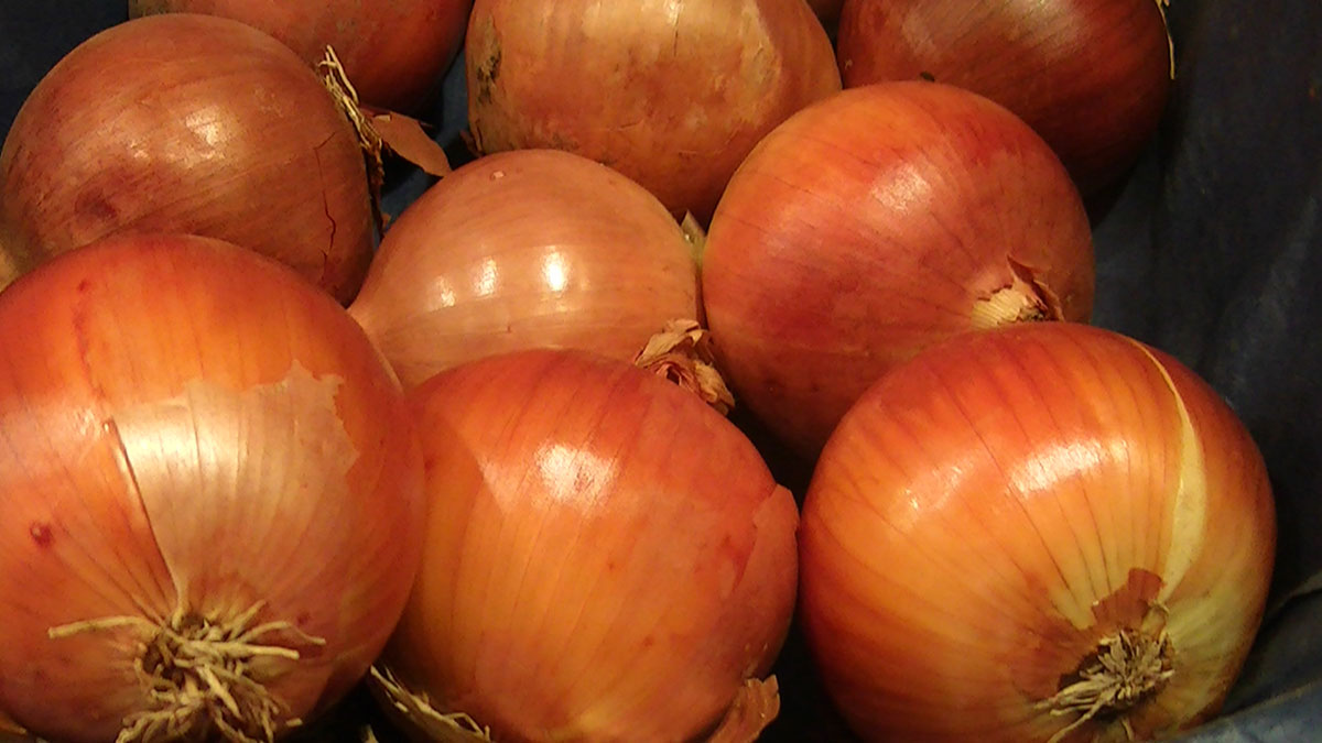 legume-inspiration-nature-alimentation3