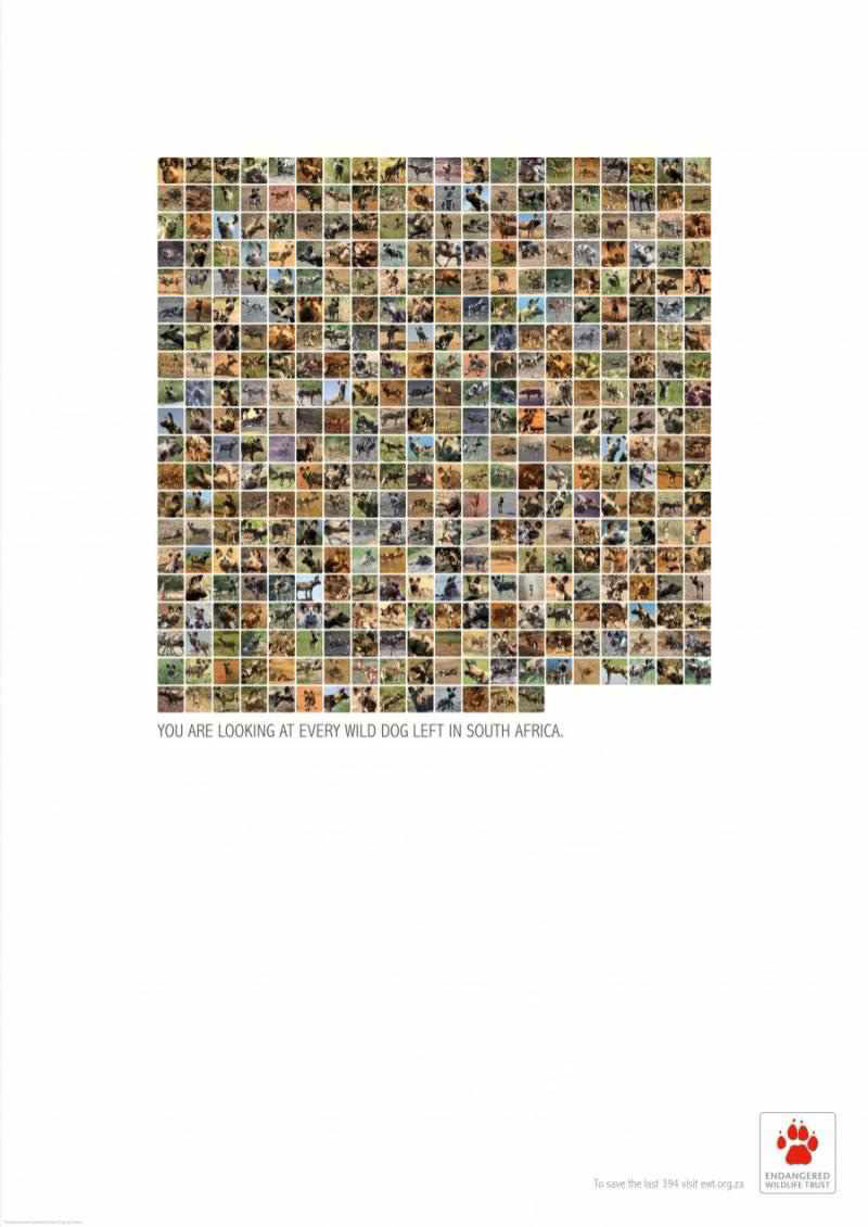 protection-vie-animale