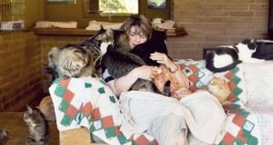 refuge-chats-paradis-sanctuaire-generosite-une