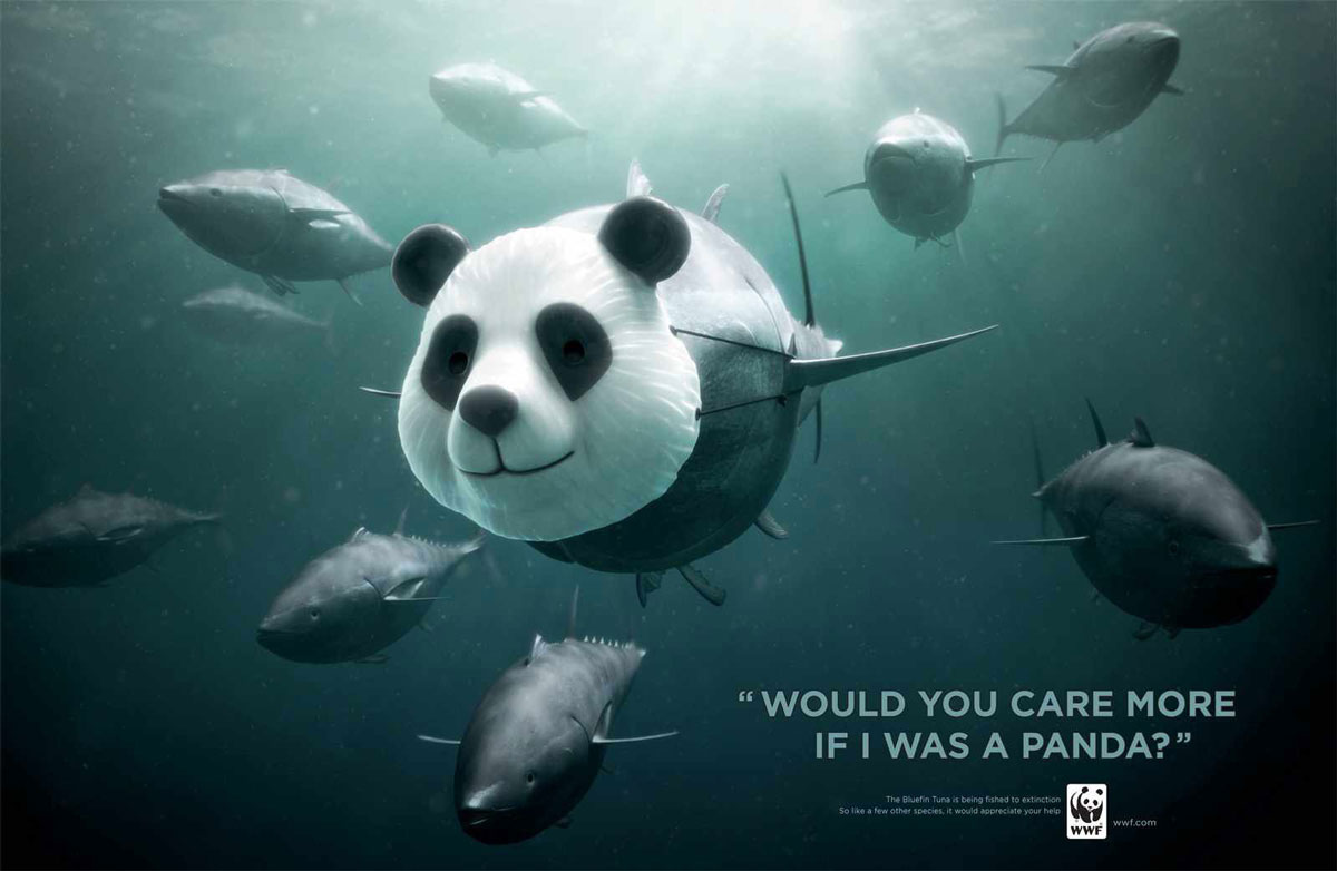 thon-panda-wwf