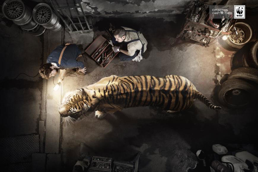 tigre-extinction-pub
