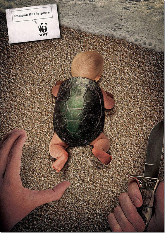 tortue-enfant
